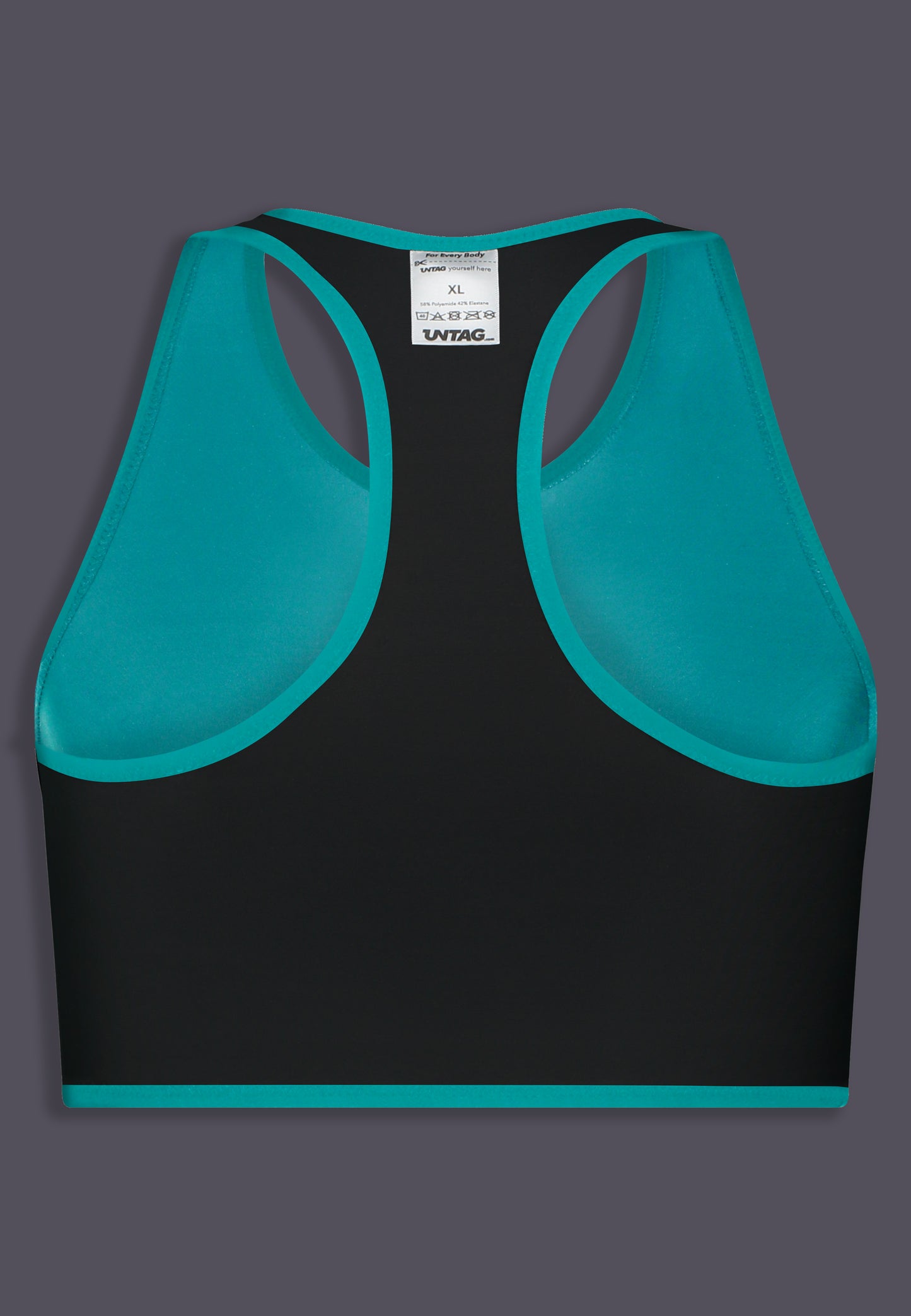 Back of the Tank Binder Reversible aqua reversed
