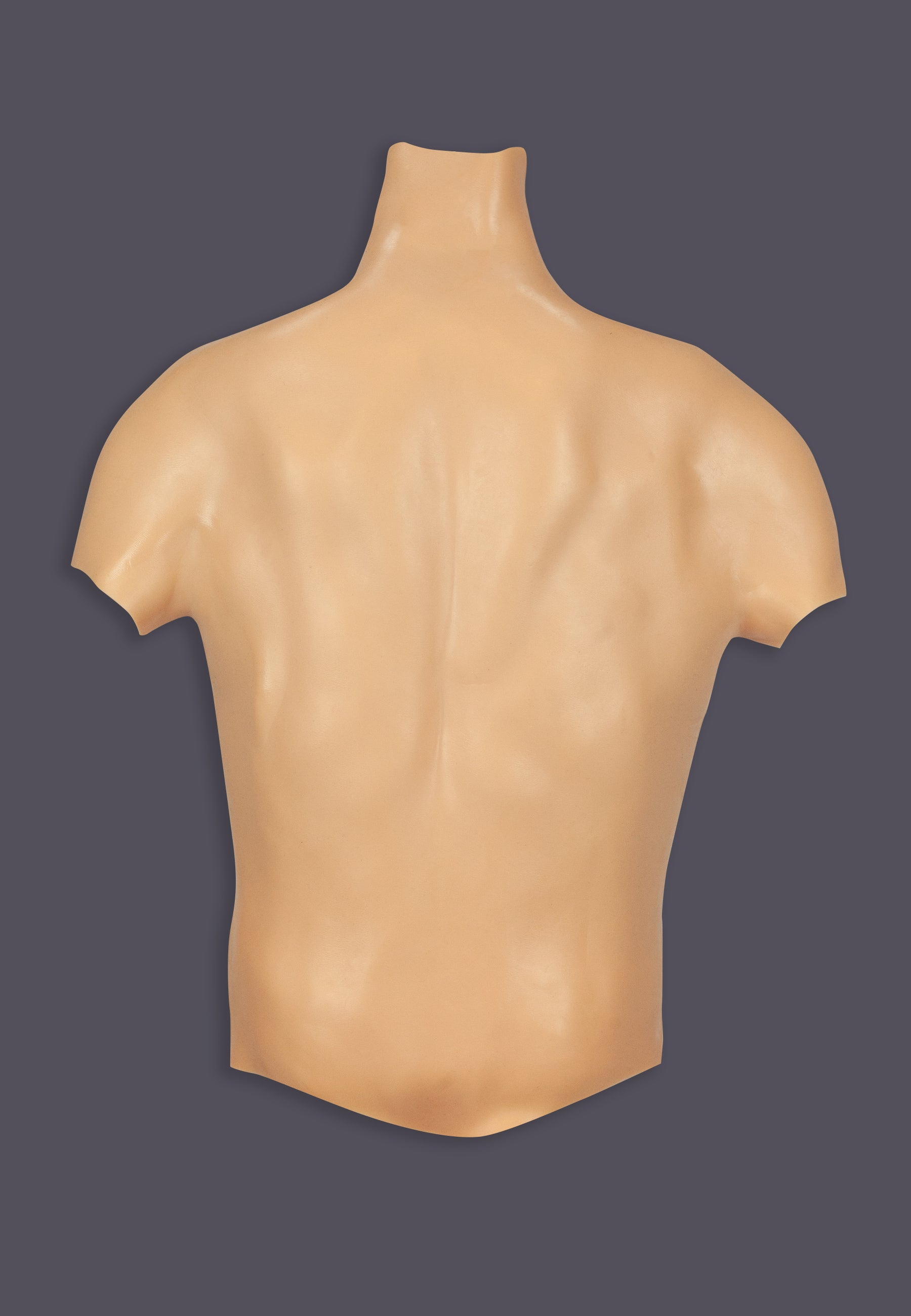 The Male Torso vanilla seen from the back